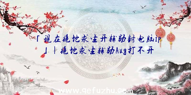 「现在绝地求生开辅助封电脑ip」|绝地求生辅助Aug打不开
